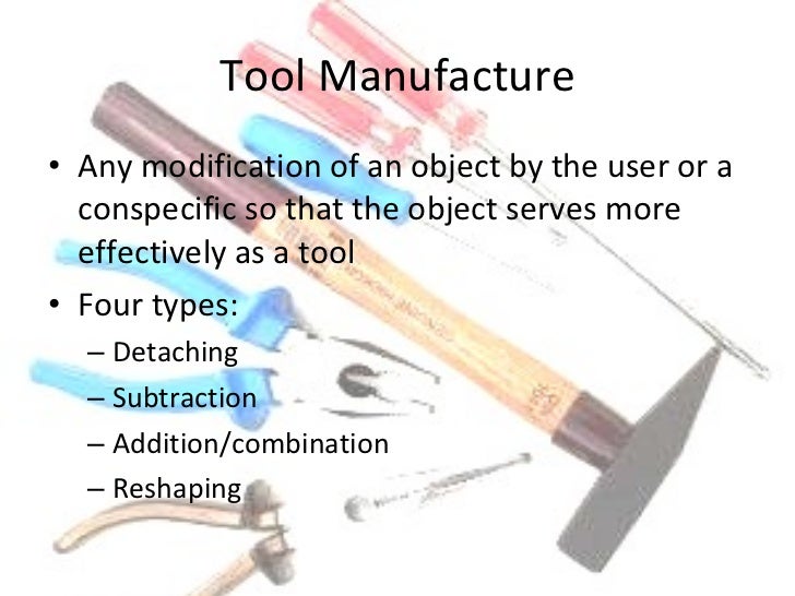 Animal Tool Use Presentation