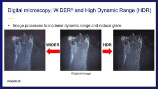 • Image processes to increase dynamic range and reduce glare
Digital microscopy: WiDER® and High Dynamic Range (HDR)
HDRWiDER
Original image
 