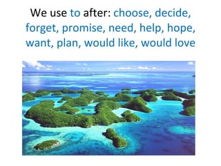 We use  to  after:  choose, decide, forget, promise, need, help, hope, want, plan, would like, would love 