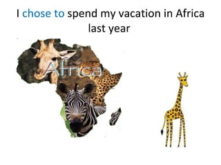 I  chose to  spend my vacation in Africa last year  