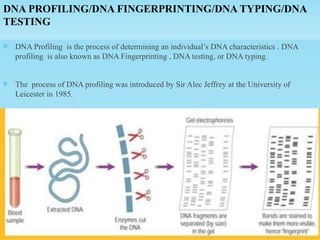 Forensic Dna Profiling Process TOOTH- A UNIQUE SOURCE OF DNA IN FORENSIC ODONTOLOGY.pptx