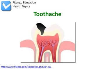 Fitango Education
          Health Topics

                            Toothache




http://www.fitango.com/categories.php?id=351
 
