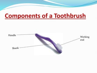 Components of a Toothbrush
Handle
Working
end
 