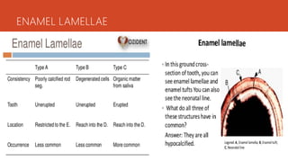 Tooth components. Enamel | PPT