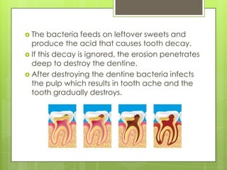  The bacteria feeds on leftover sweets and
produce the acid that causes tooth decay.
 If this decay is ignored, the erosion penetrates
deep to destroy the dentine.
 After destroying the dentine bacteria infects
the pulp which results in tooth ache and the
tooth gradually destroys.
 