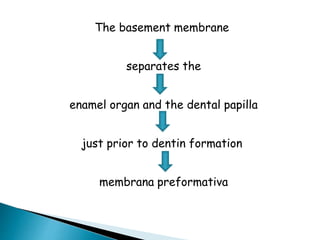 Membrane Preformative Tooth development | PPTX