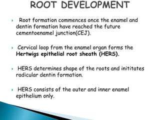 Tooth development | PPTX