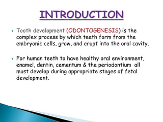 Tooth development | PPTX