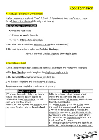 Tooth development | PDF