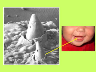 Tooth development med.gen.engl