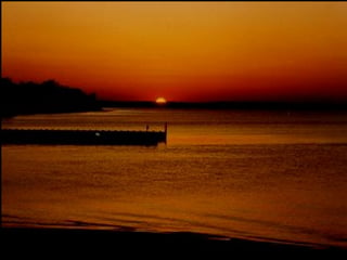 Tooth development med.gen.engl