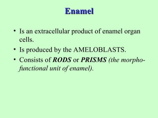 Enamel

• Is an extracellular product of enamel organ
  cells.
• Is produced by the AMELOBLASTS.
• Consists of RODS or PRISMS (the morpho-
  functional unit of enamel).
 