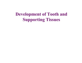 Development of Tooth and
   Supporting Tissues
 