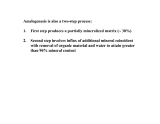 Amelogenesis is also a two-step process:

1.   First step produces a partially mineralized matrix (~ 30%)

2.   Second step involves influx of additional mineral coincident
     with removal of organic material and water to attain greater
     than 96% mineral content
 