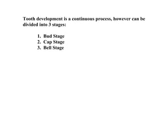 Tooth development is a continuous process, however can be
divided into 3 stages:

      1. Bud Stage
      2. Cap Stage
      3. Bell Stage
 