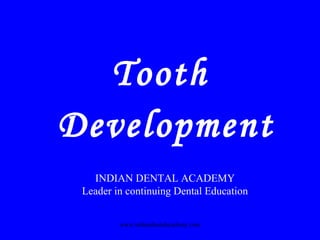 Tooth
Development
INDIAN DENTAL ACADEMY
Leader in continuing Dental Education
www.indiandentalacademy.com
 