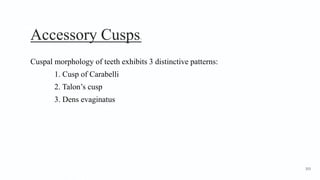 Accessory Cusps1
Cuspal morphology of teeth exhibits 3 distinctive patterns:
1. Cusp of Carabelli
2. Talon’s cusp
3. Dens evaginatus
103
 