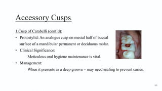 Accessory Cusps3
1.Cusp of Carabelli (cont’d):
• Protostylid: An analogus cusp on mesial half of buccal
surface of a mandibular permanent or deciduous molar.
• Clinical Significance:
Meticulous oral hygiene maintenance is vital.
• Management:
When it presents as a deep groove – may need sealing to prevent caries.
105
 