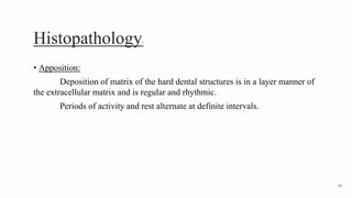 Histopathology5
• Apposition:
Deposition of matrix of the hard dental structures is in a layer manner of
the extracellular matrix and is regular and rhythmic.
Periods of activity and rest alternate at definite intervals.
60
 