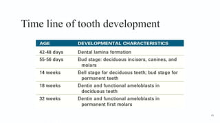 Time line of tooth development
63
 
