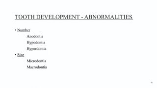 TOOTH DEVELOPMENT - ABNORMALITIES1
• Number
Anodontia
Hypodontia
Hyperdontia
• Size
Microdontia
Macrodontia
66
 