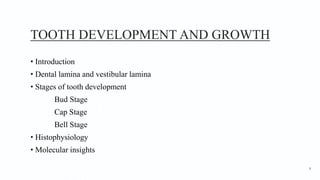 TOOTH DEVELOPMENT AND GROWTH
• Introduction
• Dental lamina and vestibular lamina
• Stages of tooth development
Bud Stage
Cap Stage
Bell Stage
• Histophysiology
• Molecular insights
9
 