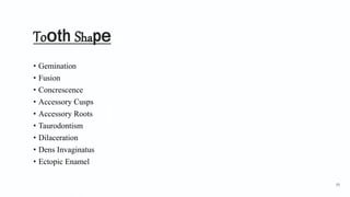 Tooth Shape
• Gemination
• Fusion
• Concrescence
• Accessory Cusps
• Accessory Roots
• Taurodontism
• Dilaceration
• Dens Invaginatus
• Ectopic Enamel
93
 