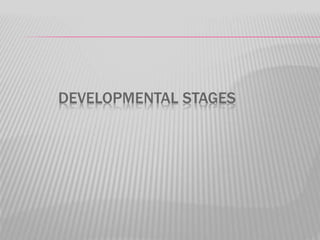 DEVELOPMENTAL STAGES
 