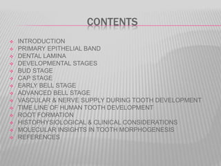 CONTENTS
 INTRODUCTION
 PRIMARY EPITHELIAL BAND
 DENTAL LAMINA
 DEVELOPMENTAL STAGES
 BUD STAGE
 CAP STAGE
 EARLY BELL STAGE
 ADVANCED BELL STAGE
 VASCULAR & NERVE SUPPLY DURING TOOTH DEVELOPMENT
 TIME LINE OF HUMAN TOOTH DEVELOPMENT
 ROOT FORMATION
 HISTOPHYSIOLOGICAL & CLINICAL CONSIDERATIONS
 MOLECULAR INSIGHTS IN TOOTH MORPHOGENESIS
 REFERENCES
 