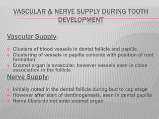 VASCULAR & NERVE SUPPLY DURING TOOTH
DEVELOPMENT
Vascular Supply:
 Clusters of blood vessels in dental follicle and papilla
 Clustering of vessels in papilla coincide with position of root
formation
 Enamel organ is avascular, however vessels seen in close
association in the follicle
Nerve Supply:
 Initially noted in the dental follicle during bud to cap stage
 However after start of dentinogenesis, seen in dental papilla
 Nerve fibers do not enter enamel organ
 