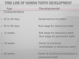 TIME LINE OF HUMAN TOOTH DEVELOPMENT
Age Developmental
Characteristics
 42 to 48 days Dental lamina formation
 55 to 56 days Bud stage for deciduous teeth
 14 weeks Bell stage for deciduous teeth;
Bud stage for permanent teeth
 18 weeks Dentin & functional
ameloblasts in deciduous teeth
 32 weeks Dentin & functional ameloblasts in
permanent teeth.
 