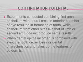 TOOTH INITIATION POTENTIAL
 Experiments conducted combining first arch
epithelium with neural crest in anterior chamber
of eye resulted in formation of tooth, while
epithelium from other sites like that of limb or
second arch doesn’t produce same results.
 When dental epithelial organ is combined with
skin, the tooth organ loses its dental
characteristics and takes up the features of
epidermis.
 