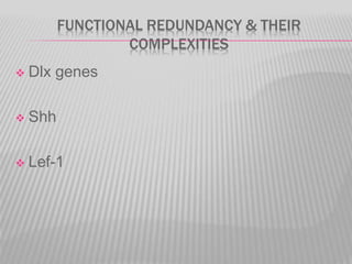 FUNCTIONAL REDUNDANCY & THEIR
COMPLEXITIES
 Dlx genes
 Shh
 Lef-1
 