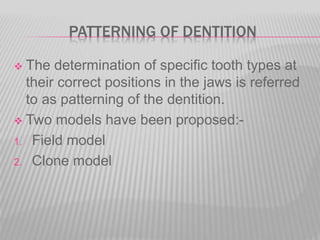 PATTERNING OF DENTITION
 The determination of specific tooth types at
their correct positions in the jaws is referred
to as patterning of the dentition.
 Two models have been proposed:-
1. Field model
2. Clone model
 