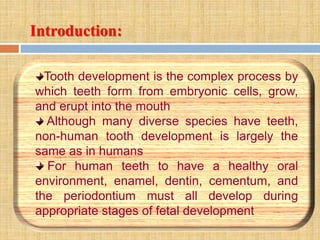 Development of Teeth by Dr.Smitha Rao | PPTX