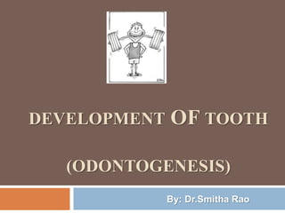 DEVELOPMENT OF TOOTH
(ODONTOGENESIS)
By: Dr.Smitha Rao
 