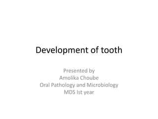 Development of tooth
Presented by
Amolika Choube
Oral Pathology and Microbiology
MDS Ist year
 