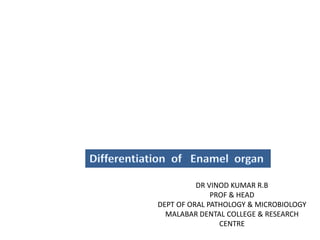 DR VINOD KUMAR R.B
PROF & HEAD
DEPT OF ORAL PATHOLOGY & MICROBIOLOGY
MALABAR DENTAL COLLEGE & RESEARCH
CENTRE
 