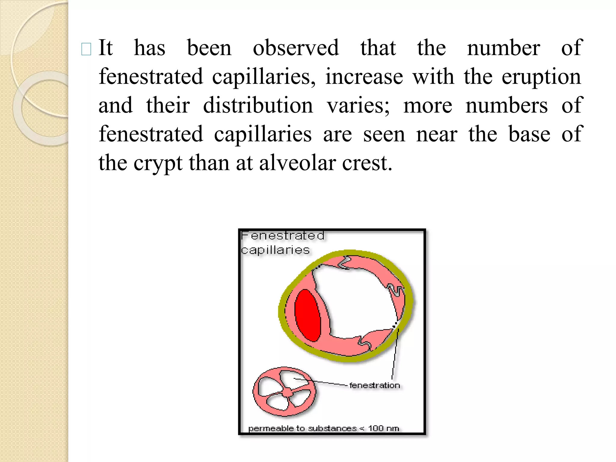 Tooth eruption | PPTX