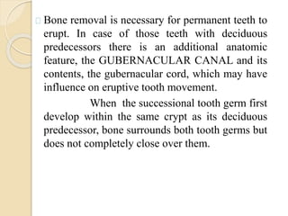 Bone removal is necessary for permanent teeth to
erupt. In case of those teeth with deciduous
predecessors there is an additional anatomic
feature, the GUBERNACULAR CANAL and its
contents, the gubernacular cord, which may have
influence on eruptive tooth movement.
When the successional tooth germ first
develop within the same crypt as its deciduous
predecessor, bone surrounds both tooth germs but
does not completely close over them.
 