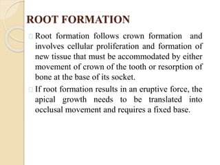 ROOT FORMATION
Root formation follows crown formation and
involves cellular proliferation and formation of
new tissue that must be accommodated by either
movement of crown of the tooth or resorption of
bone at the base of its socket.
If root formation results in an eruptive force, the
apical growth needs to be translated into
occlusal movement and requires a fixed base.
 