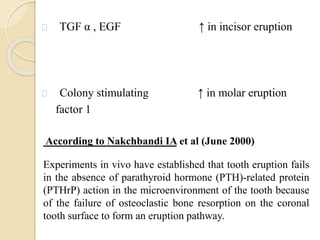 TGF α , EGF ↑ in incisor eruption
Colony stimulating ↑ in molar eruption
factor 1
According to Nakchbandi IA et al (June 2000)
Experiments in vivo have established that tooth eruption fails
in the absence of parathyroid hormone (PTH)-related protein
(PTHrP) action in the microenvironment of the tooth because
of the failure of osteoclastic bone resorption on the coronal
tooth surface to form an eruption pathway.
 