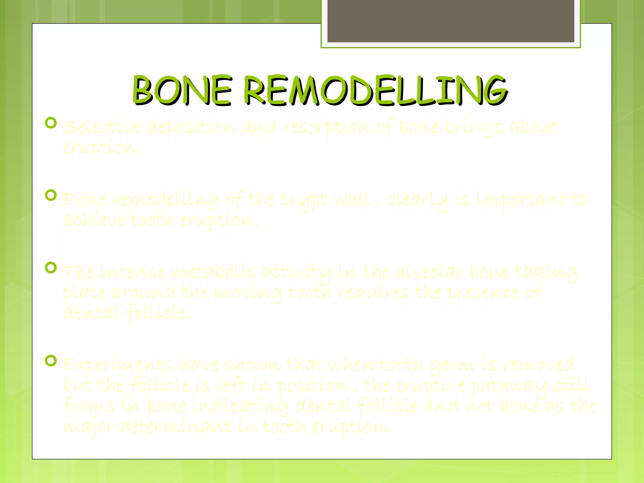 BBOONNEE RREEMMOODDEELLLLIINNGG 
 Selective deposition and resorption of bone brings about 
eruption. 
 Bone remodelling of the crypt wall , clearly is important to 
achieve tooth eruption. 
 The intense metabolic activity in the alveolar bone taking 
place around the moving tooth requires the presence of 
dental follicle. 
 Experiments have shown that when tooth germ is removed 
but the follicle is left in position , the eruptive pathway still 
forms in bone indicating dental follicle and not bone as the 
major determinant in tooth eruption. 
 