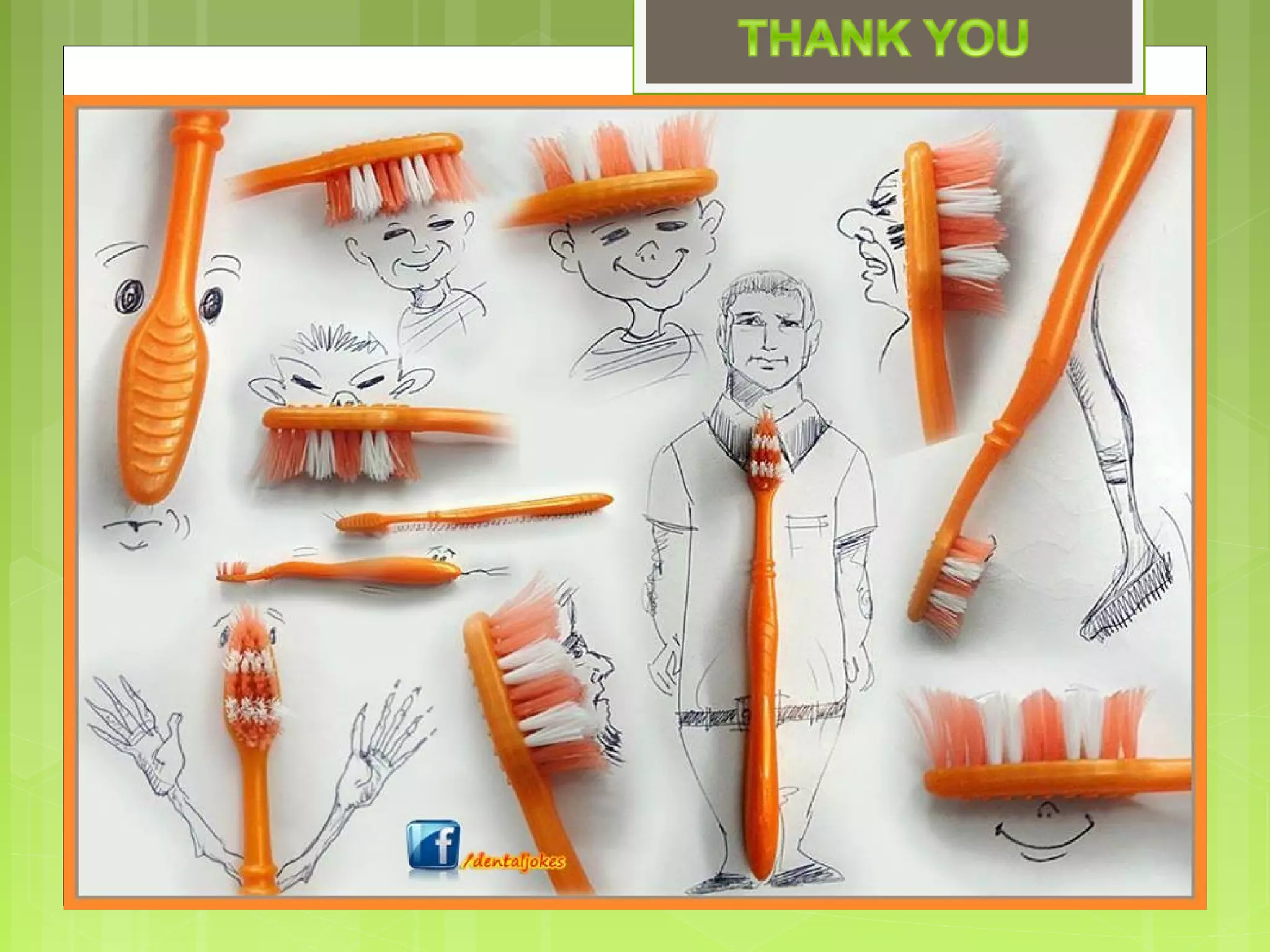 Tooth eruption and shedding