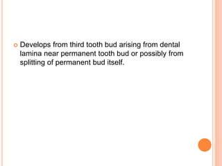  Develops from third tooth bud arising from dental
lamina near permanent tooth bud or possibly from
splitting of permanent bud itself.
 