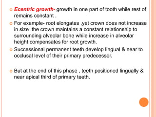  Ecentric growth- growth in one part of tooth while rest of
remains constant .
 For example- root elongates ,yet crown does not increase
in size the crown maintains a constant relationship to
surrounding alveolar bone while increase in alveolar
height compensates for root growth.
 Successional permanent teeth develop lingual & near to
occlusal level of their primary predecessor.
 But at the end of this phase , teeth positioned lingually &
near apical third of primary teeth.
 