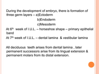 During the development of embryo, there is formation of
three germ layers – a)Ectoderm
b)Endoderm
c)Mesoderm
At 6th week of I.U.L. – horseshoe shape – primary epithelial
band
At 7th week of I.U.L. – dental lamina & vestibular lamina
All deciduous teeth arises from dental lamina , later
permanent successors arise from its lingual extension &
permanent molars from its distal extension.
 