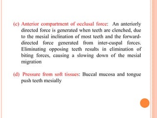 (c) Anterior compartment of occlusal force: An anteriorly
directed force is generated when teeth are clenched, due
to the mesial inclination of most teeth and the forward-
directed force generated from inter-cuspal forces.
Eliminating opposing teeth results in elimination of
biting forces, causing a slowing down of the mesial
migration
(d) Pressure from soft tissues: Buccal mucosa and tongue
push teeth mesially
 