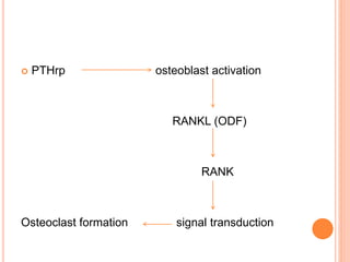  PTHrp osteoblast activation
RANKL (ODF)
RANK
Osteoclast formation signal transduction
 
