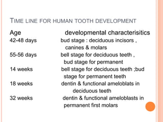 TIME LINE FOR HUMAN TOOTH DEVELOPMENT
Age developmental characterisitics
42-48 days bud stage : deciduous incisors ,
canines & molars
55-56 days bell stage for deciduous teeth ,
bud stage for permanent
14 weeks bell stage for deciduous teeth ;bud
stage for permanent teeth
18 weeks dentin & functional ameloblats in
deciduous teeth
32 weeks dentin & functional ameloblasts in
permanent first molars
 